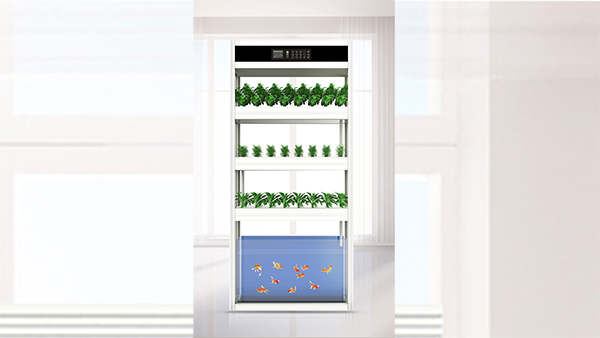 Aquaponics: The Ideal Choice for Ecological Agriculture