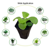 Customizable Plant Growth Medium - Organic Peat Soil for Hydroponic Systems