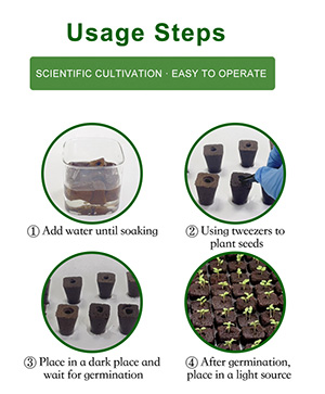 grow plug for seed starting