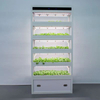 Auma Enclosed Hydroponic Growing Cabinet with LED Lights for Water-deficient Area