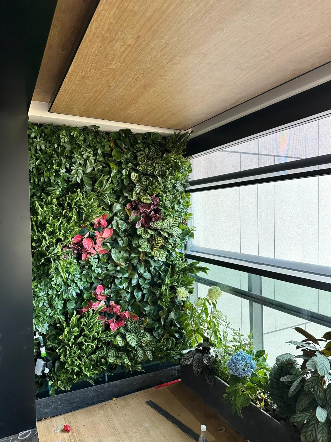 home plant wall