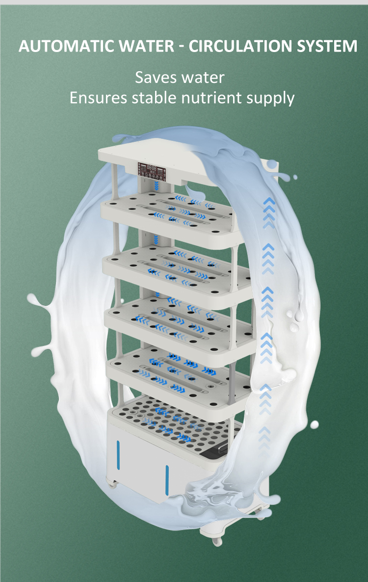 hydroponic system