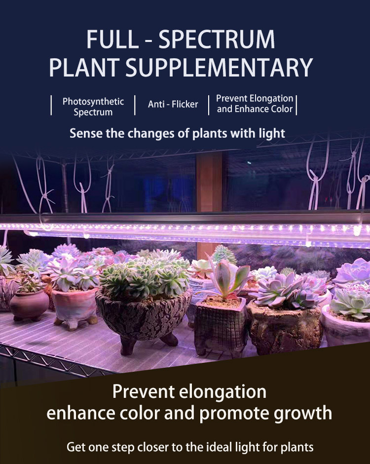full spectrum plant light