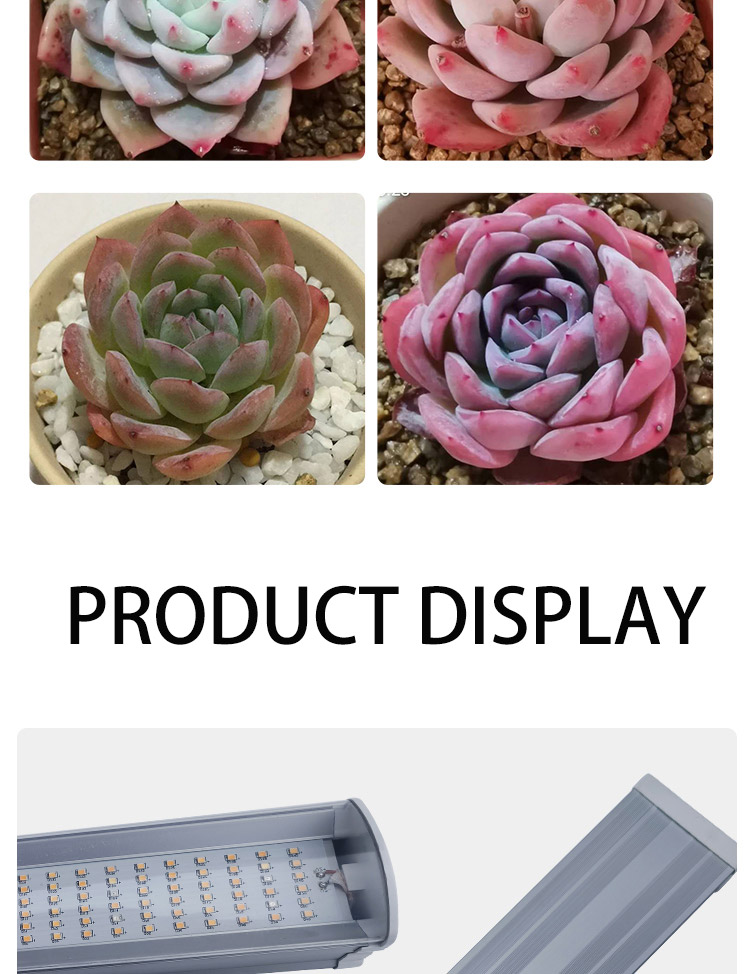 LED GROW LAMP