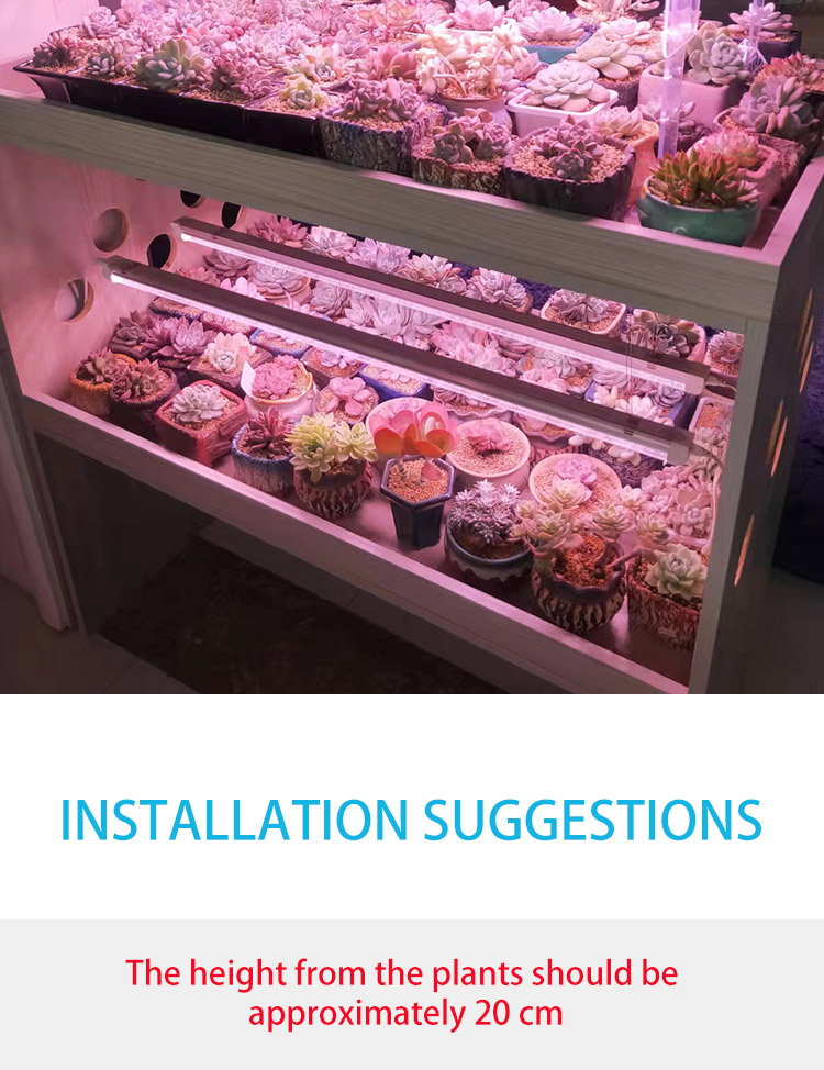 led plant light