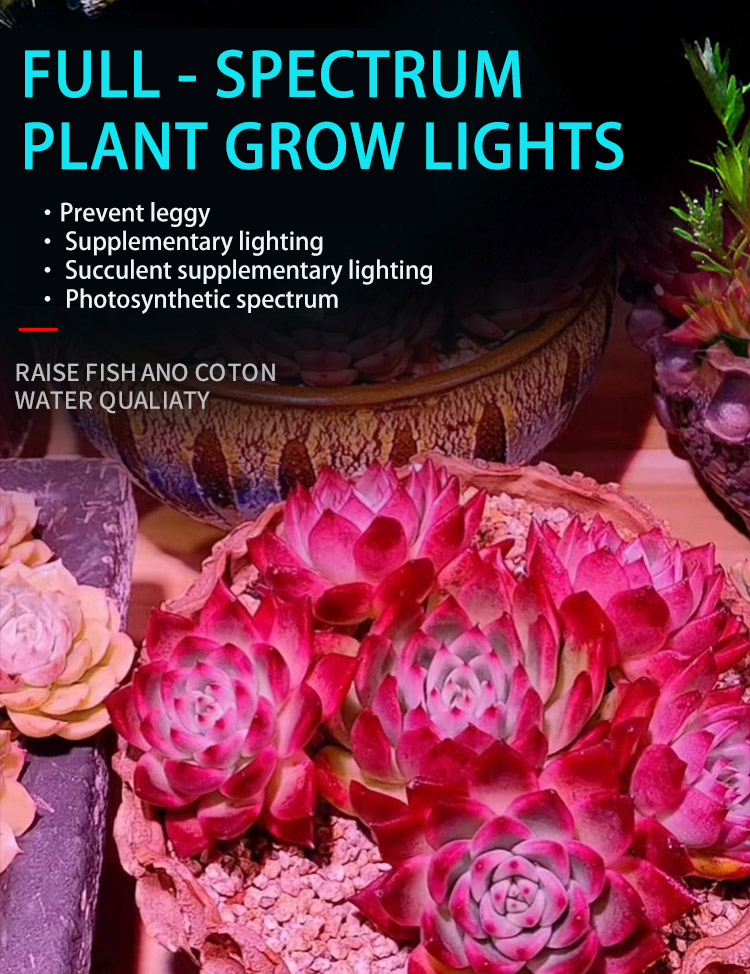 PLANT LIGHT