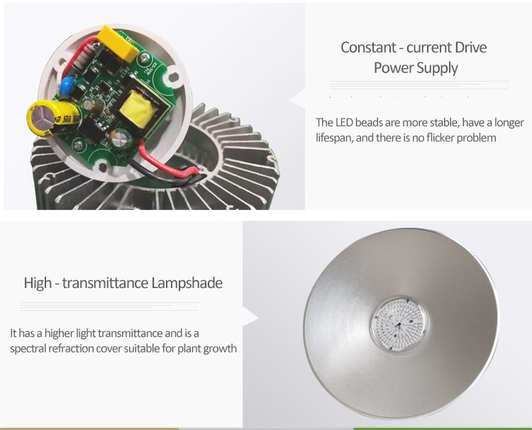 LED PLANT LIGHT