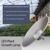 FruitBoost Pro Greenhouse Light - Sunlike Full Spectrum for Bountiful Harvests