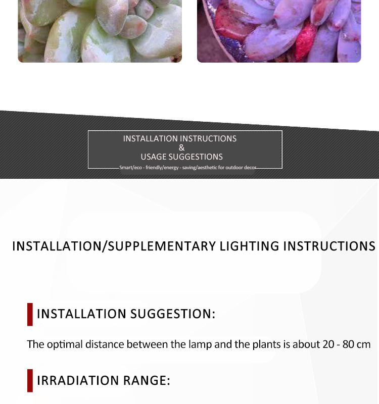 bulb plant grow light
