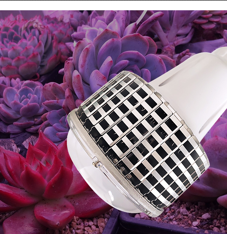 blub grow light