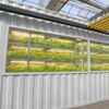 Stable High-Yield Intelligent Environment-Controlled Soilless Cultivation Agricultural System for Leafy Vegetables in Containers