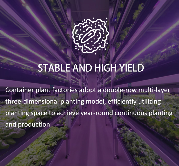 soilless cultivation greenhouse