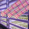 SpectrumPro LED Plant Grow Light - 4/6 Row Energy-Saving Solution for Succulents