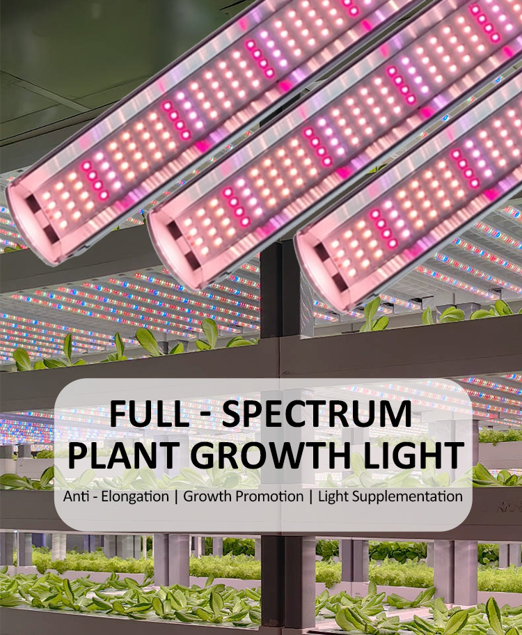 PLANT LAMP