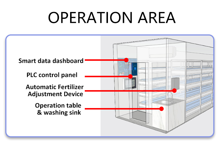 container farm for strawberry 