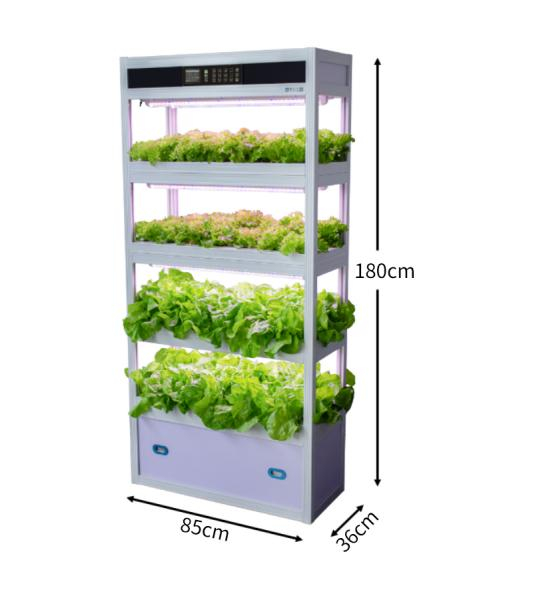 Indoor Automated Vertical Hydroponic Planting Machine for Soilless Cultivation
