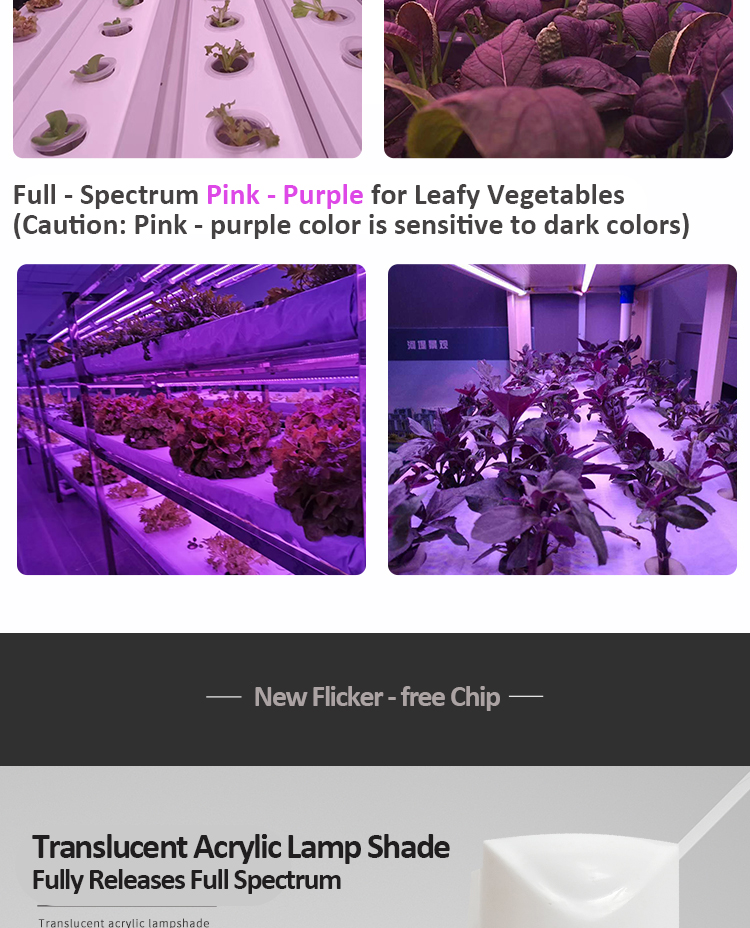 FULL SPECTRUM PLANT LIGHT