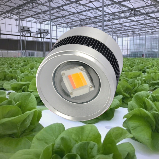 100W Air-Cooled Downlight - Sunlike Full Spectrum for Universal Plant Growth