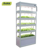 Hydroponic Seedling Raising Machine For Indoor Farming