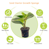 Coco Coir Peat Cocopeat Blocks Made From Pure Coconut Fibers for Superior Plant Health