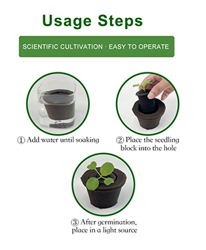 coco peat replacement growing media