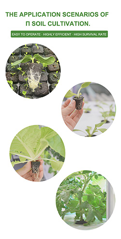 grow plug for seed starting