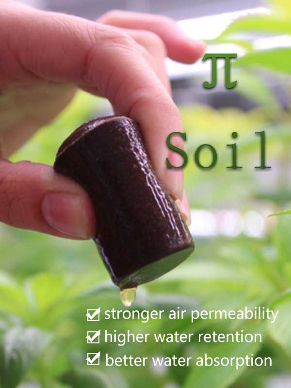 主11