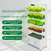 Indoor Soilless Cultivation Hydroponic Kit: Vertical Hydroponic System, Vegetable Planting Machine in Intelligent Grow System