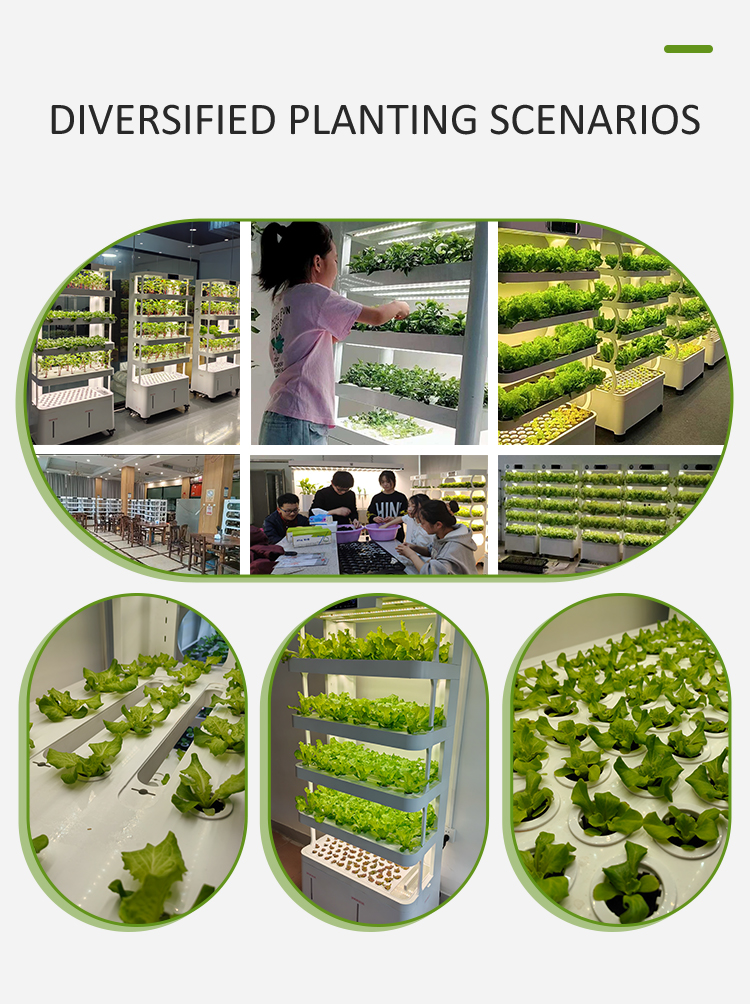 growing machine