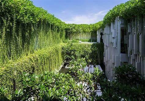 plant wall