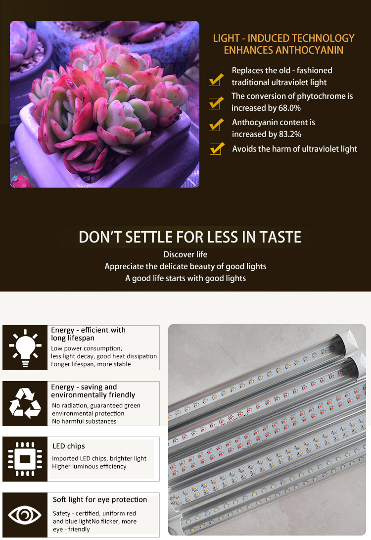 LED light