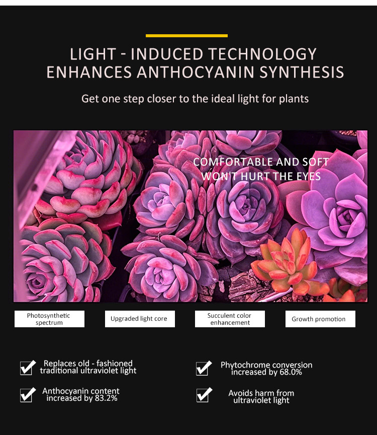 led