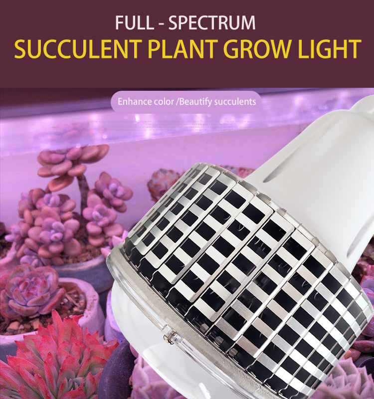 BUBBLE PLANT LIGHT