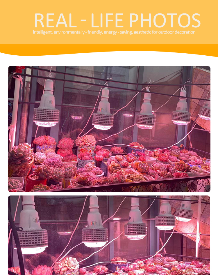 bubble light for plant
