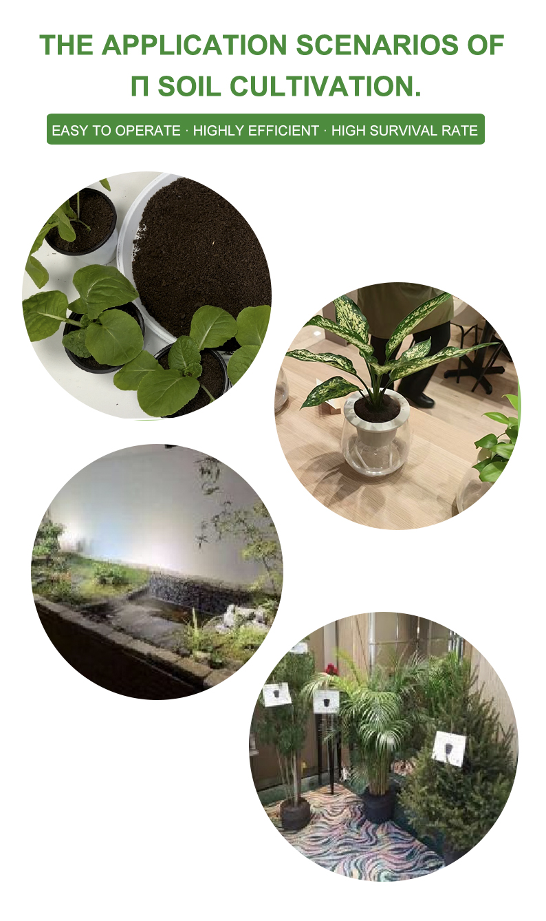 growth medium