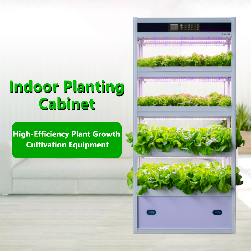 indoor hydroponic planting