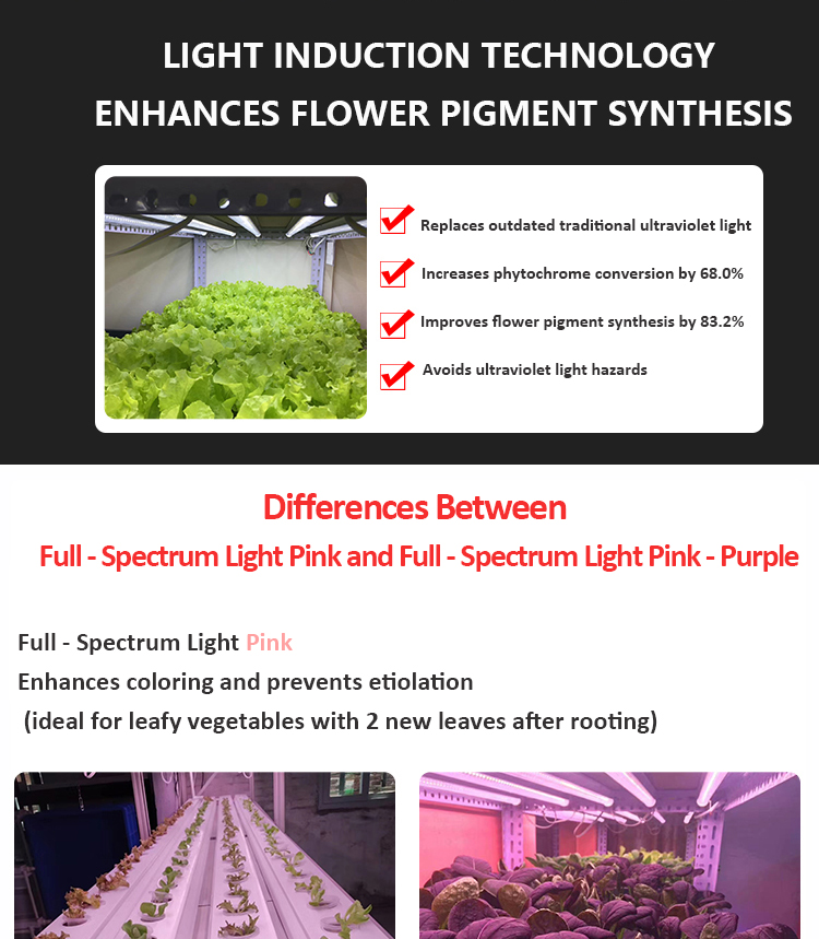 FULL SPECTRUM PLANT LAMP