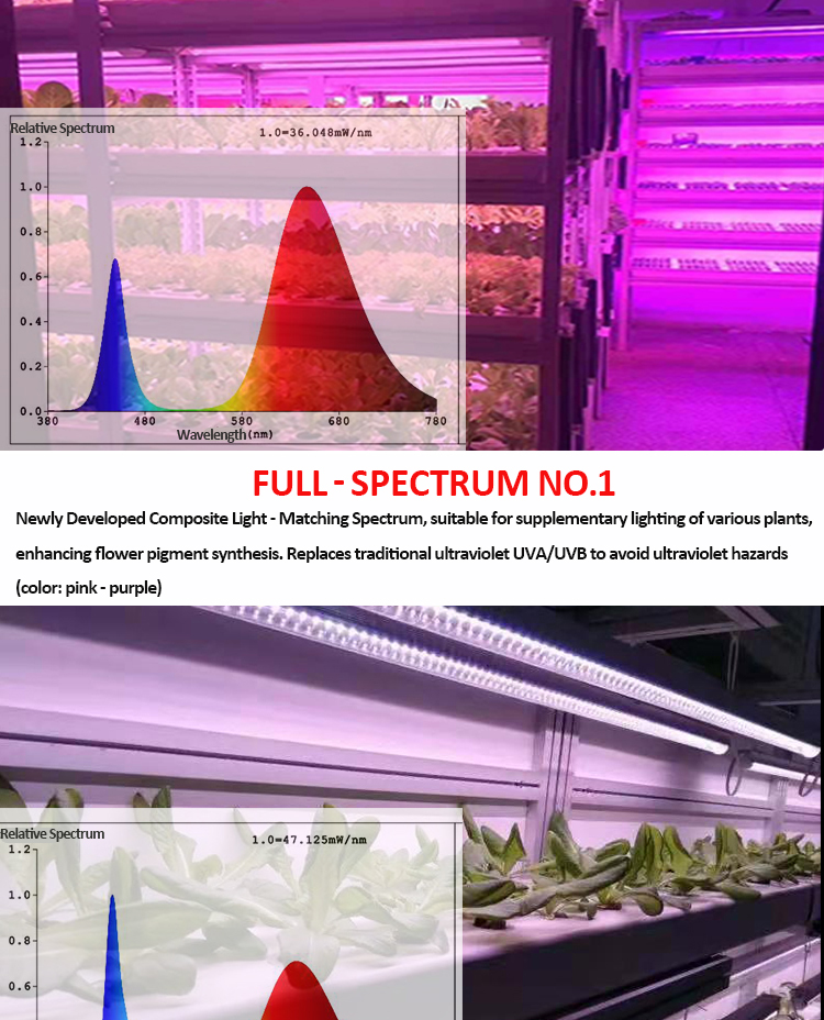 PLANT LAMP