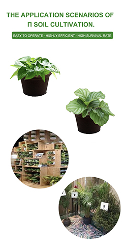 coco peat replacement growing media