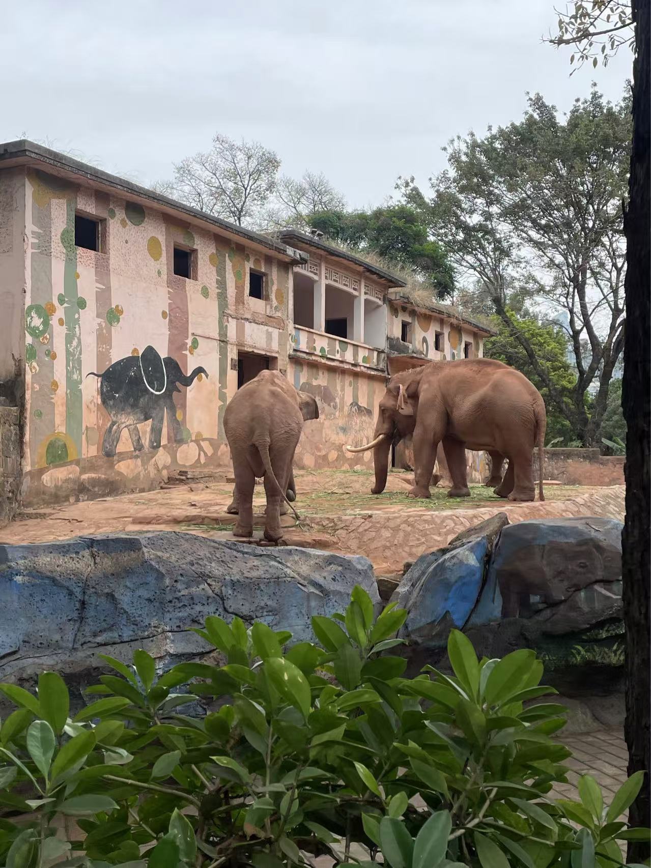 Zoo Habitat