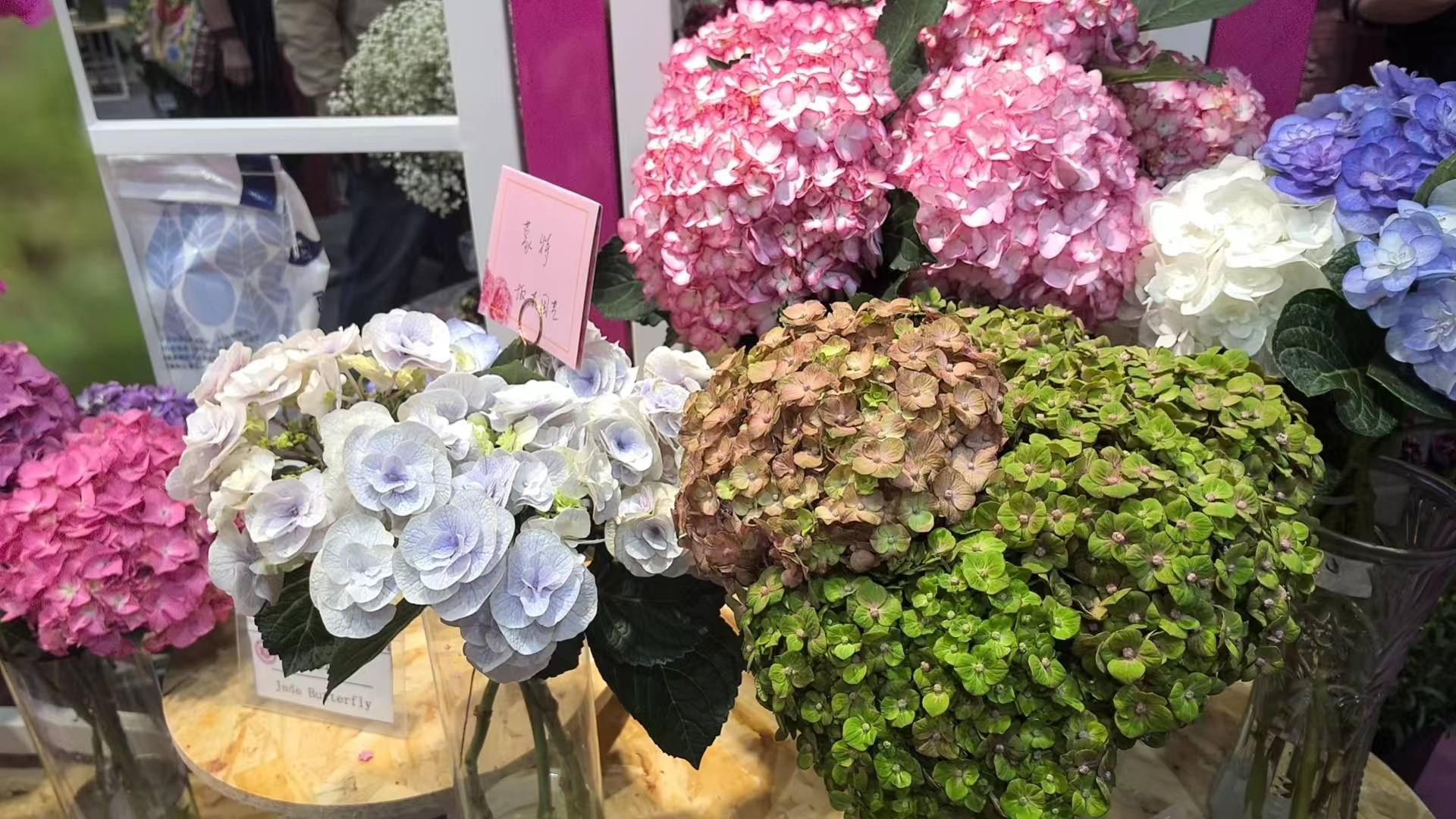 ​Embracing Green Therapy: The Sustainable Elegance of Π Soil in Floral Exhibitions