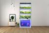 Auma Aquaponic Model AM3 Is a Good Way to Access Organic and Fresh Vegetables and Fish