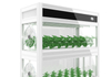Auma Hydroponic Growing Cabinet for office