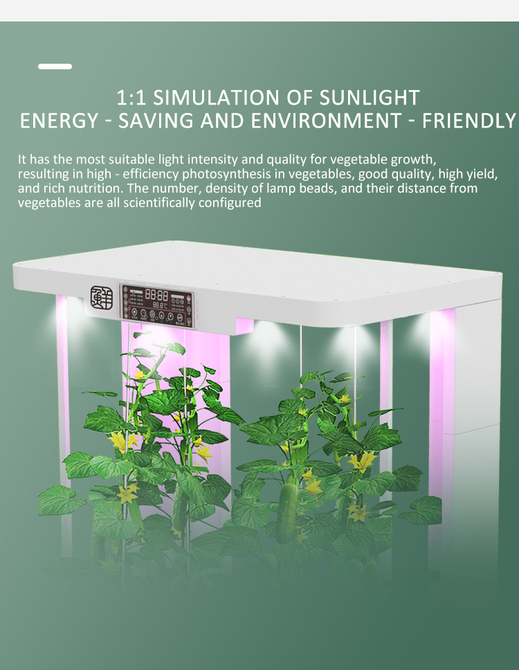 soilless agriculture 