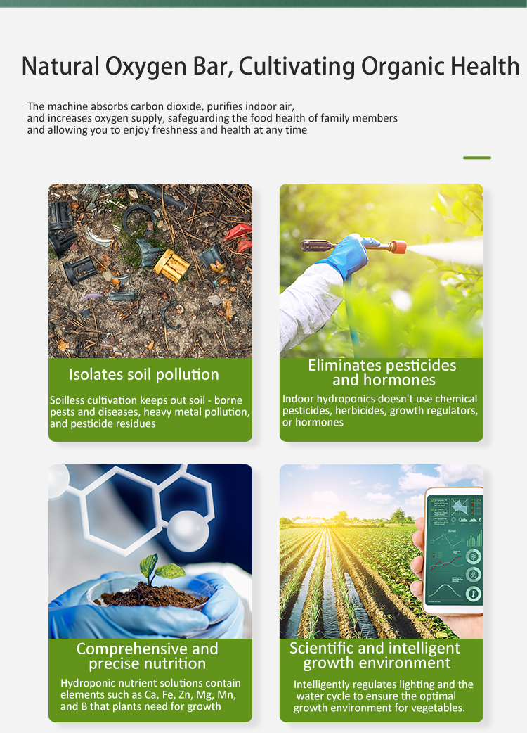 soilless cultivation