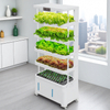Indoor Soilless Cultivation Hydroponic Kit: Vertical Hydroponic System, Vegetable Planting Machine in Intelligent Grow System