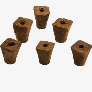 Substrate Cultivation: A New Trend in Modern Agriculture And The Unique Advantages of Π Soil