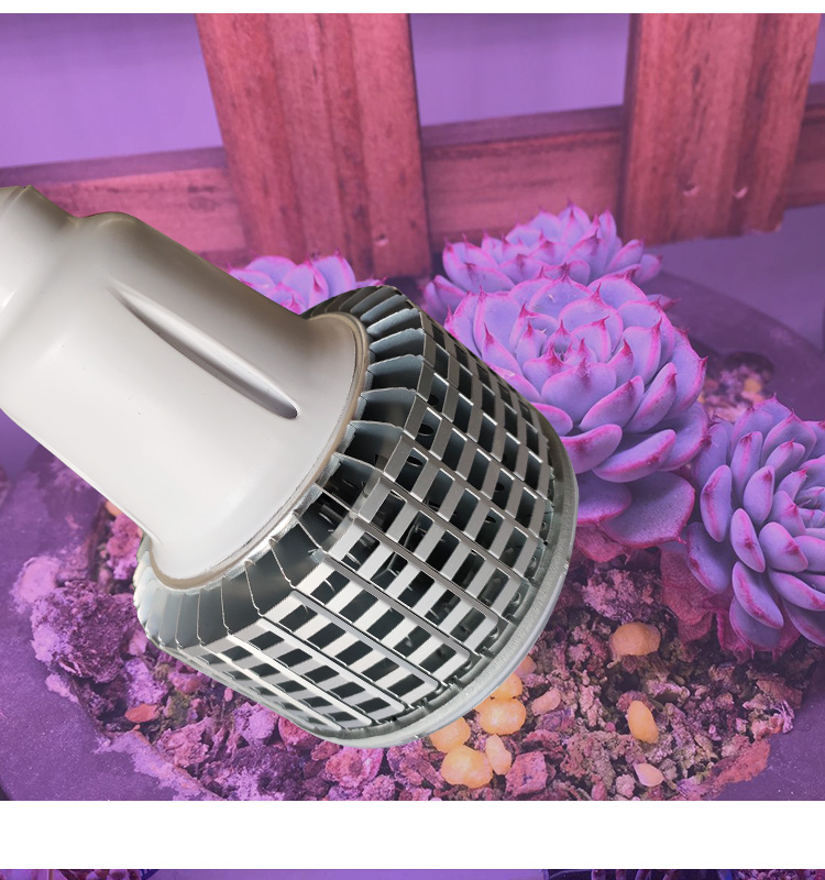 bubble plant grow light