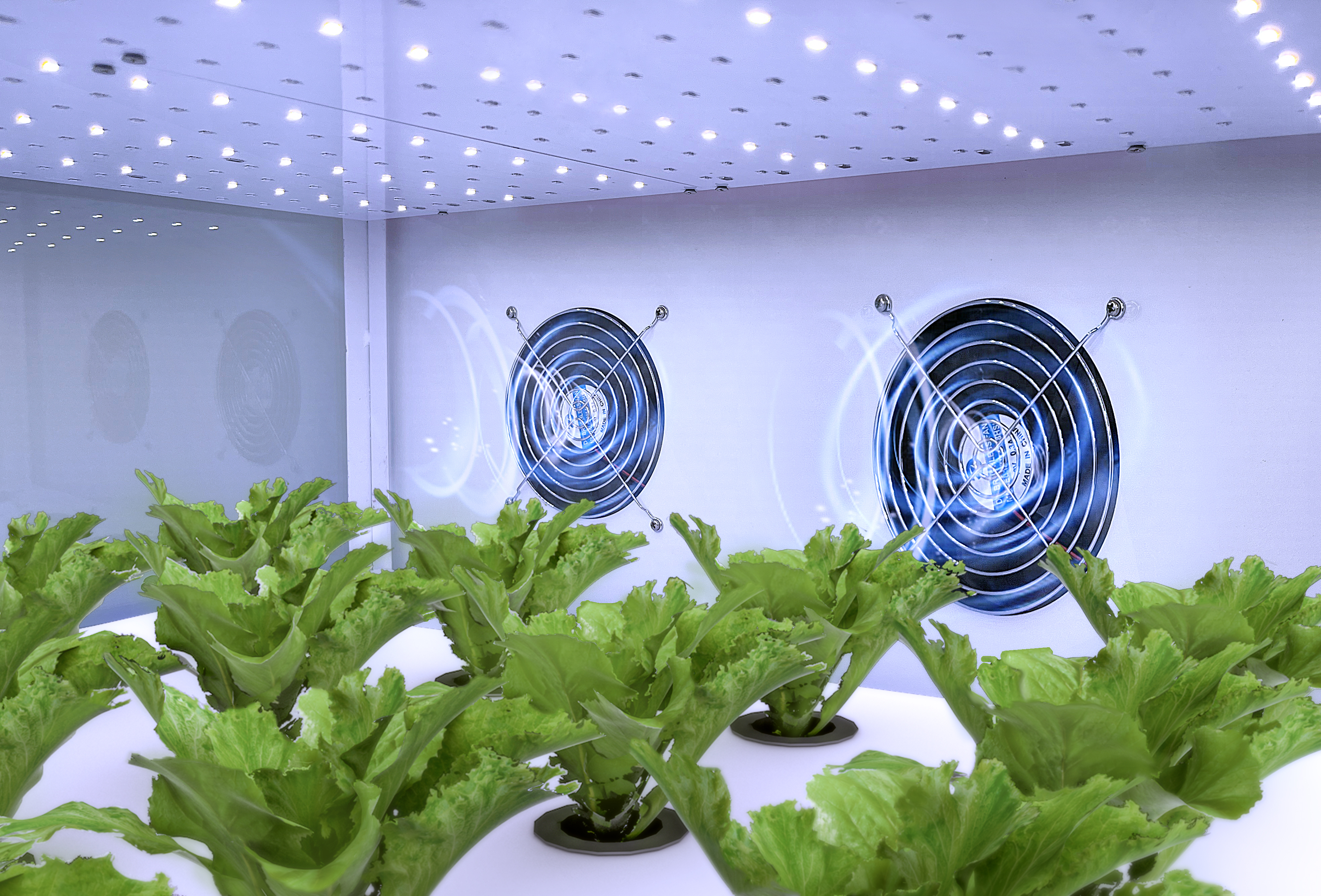 Exploring The IoT - Based Miniature Plant Factory: Unveiling A New Era of Smart Planting