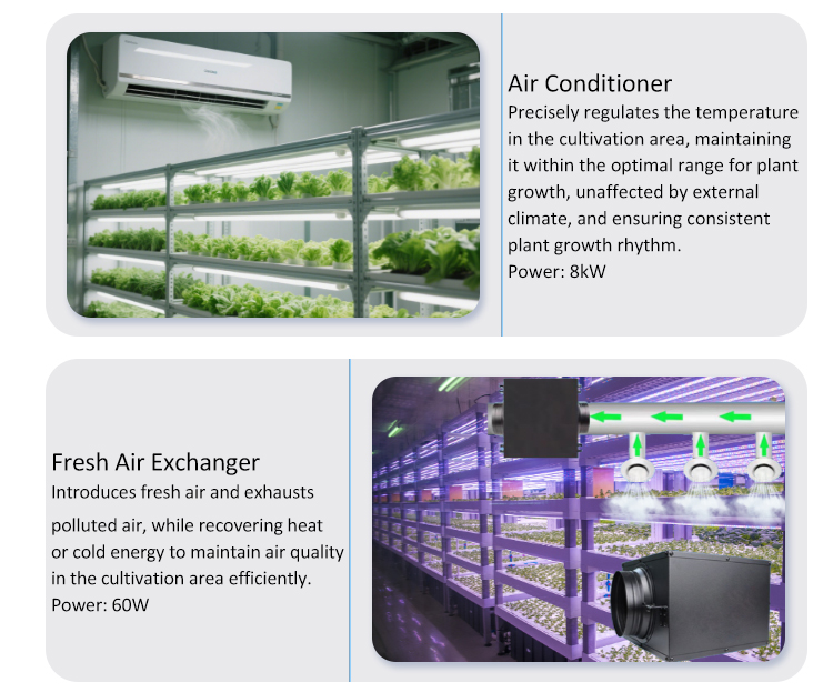 soilless cultivation greenhouse
